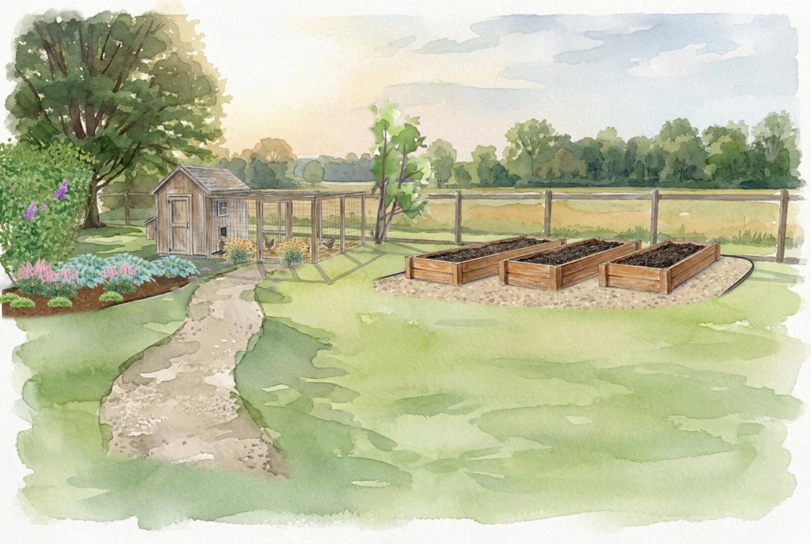 Watercolor of a mature chicken coop garden twenty years grown: the coop weathered grey under a full-height serviceberry, a lilac screen closed between the run and the patio, raised beds along the outside of the run fence
