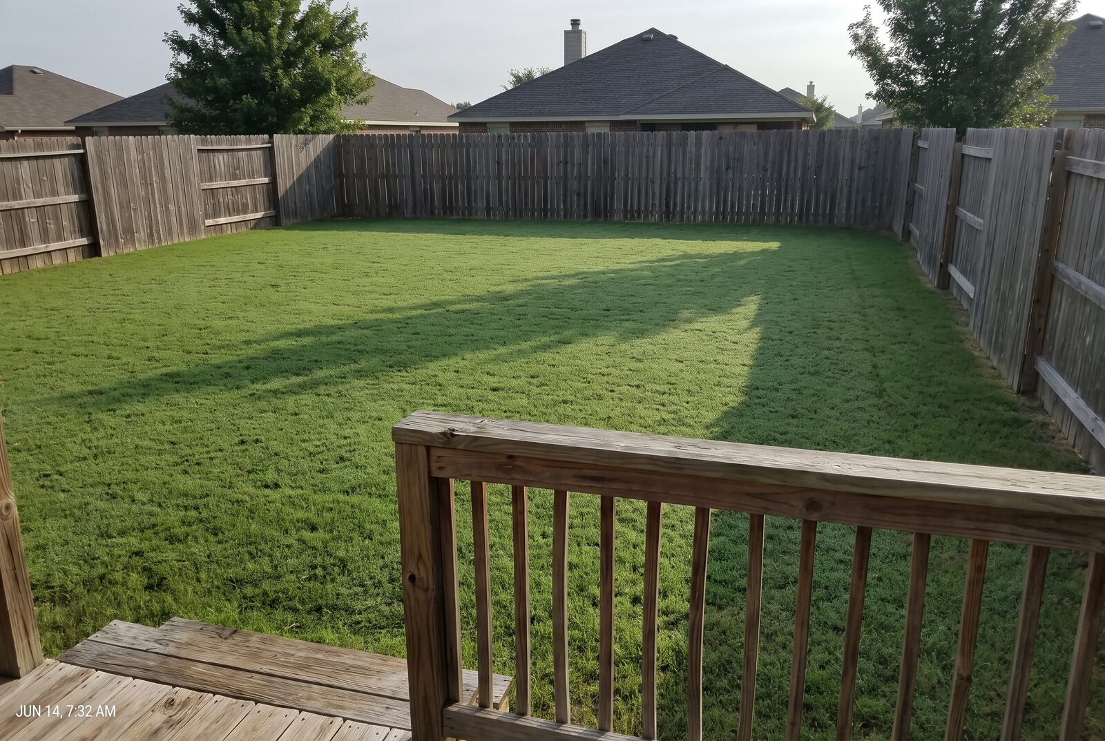 A photo of the plain back lawn today: bare grass, a plain fence, no beds and no shape anywhere