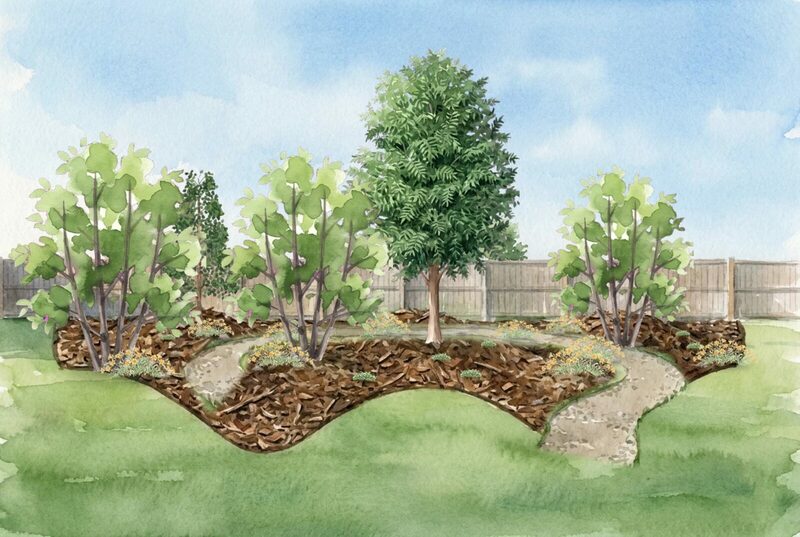 A mulch bed, painted at year twenty