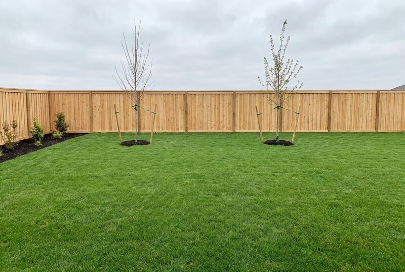 A new-build lot