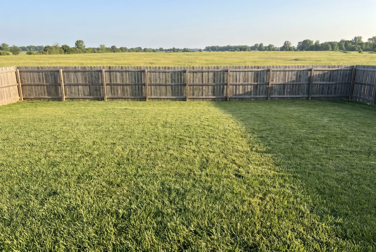 A photo of the plain back lawn today, a bare fence line and nothing in bloom