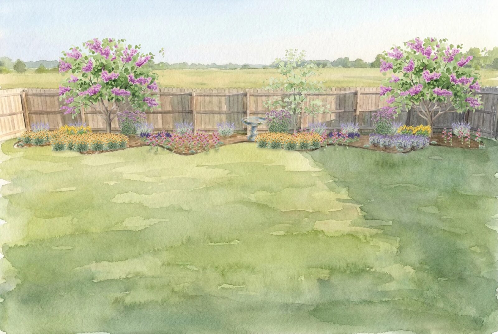Watercolor of a mature pollinator garden twenty years grown: drifts of coneflower and black-eyed susan running the full length of the fence, russian sage and joe pye weed behind, a birdbath at the centre