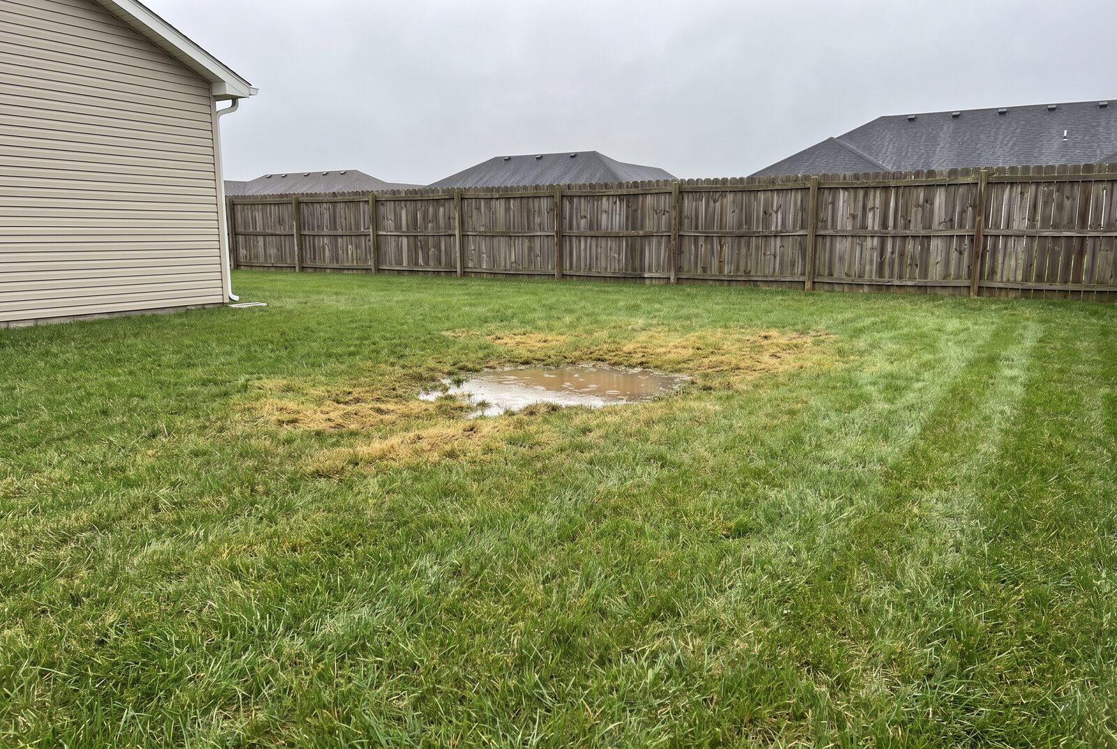 A backyard after rain: a puddle in the middle of the lawn, a six-foot fence across the back, the house just on the left