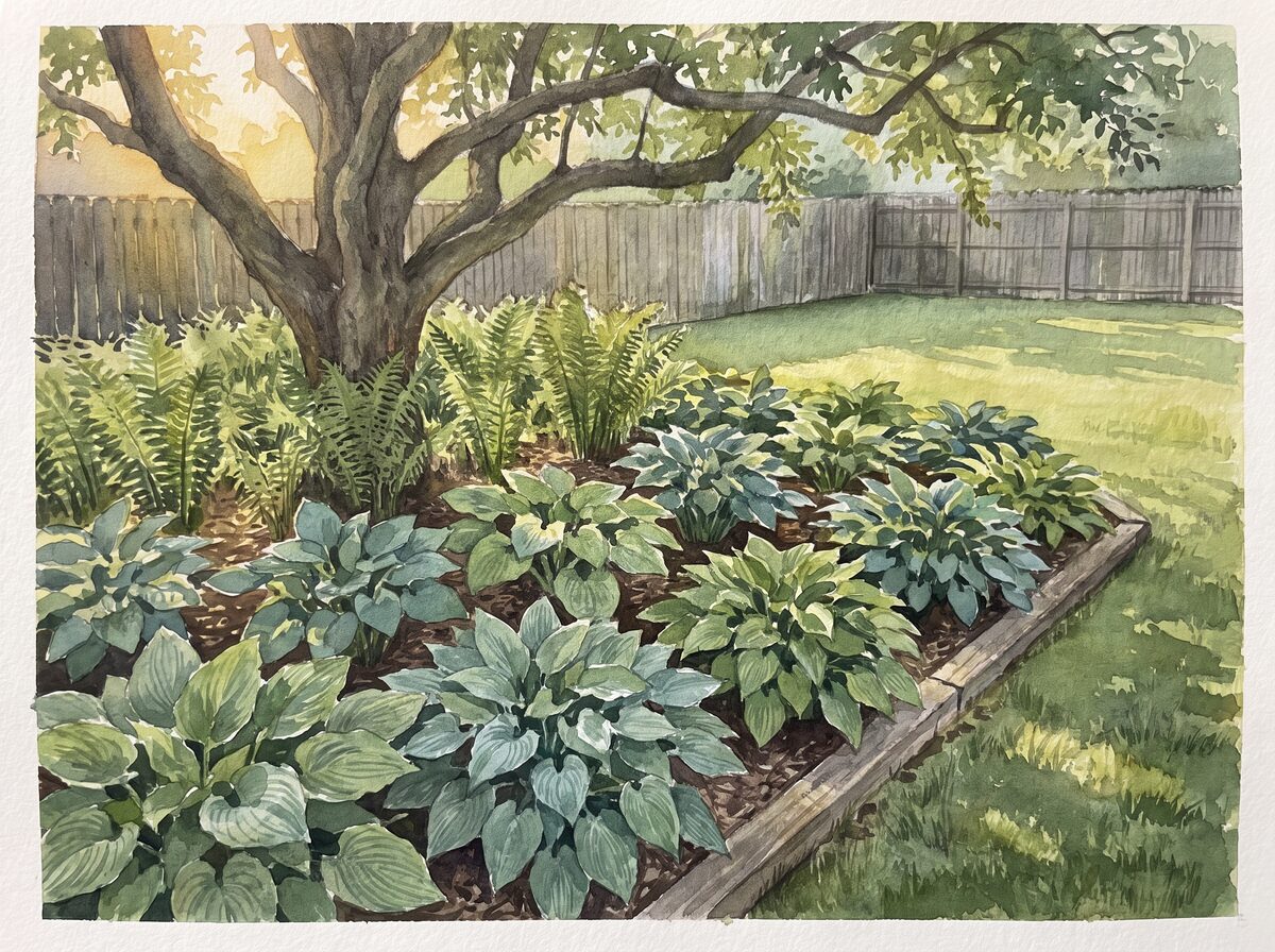 The gallon shortcut shade garden