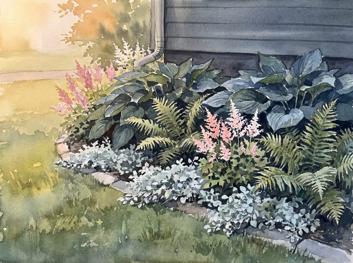 The north-wall border shade garden