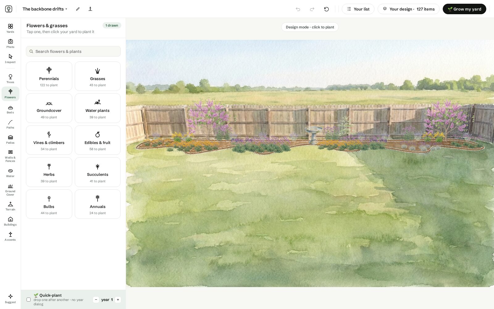The studio in design mode: coneflower and black-eyed susan drifts placed along the border