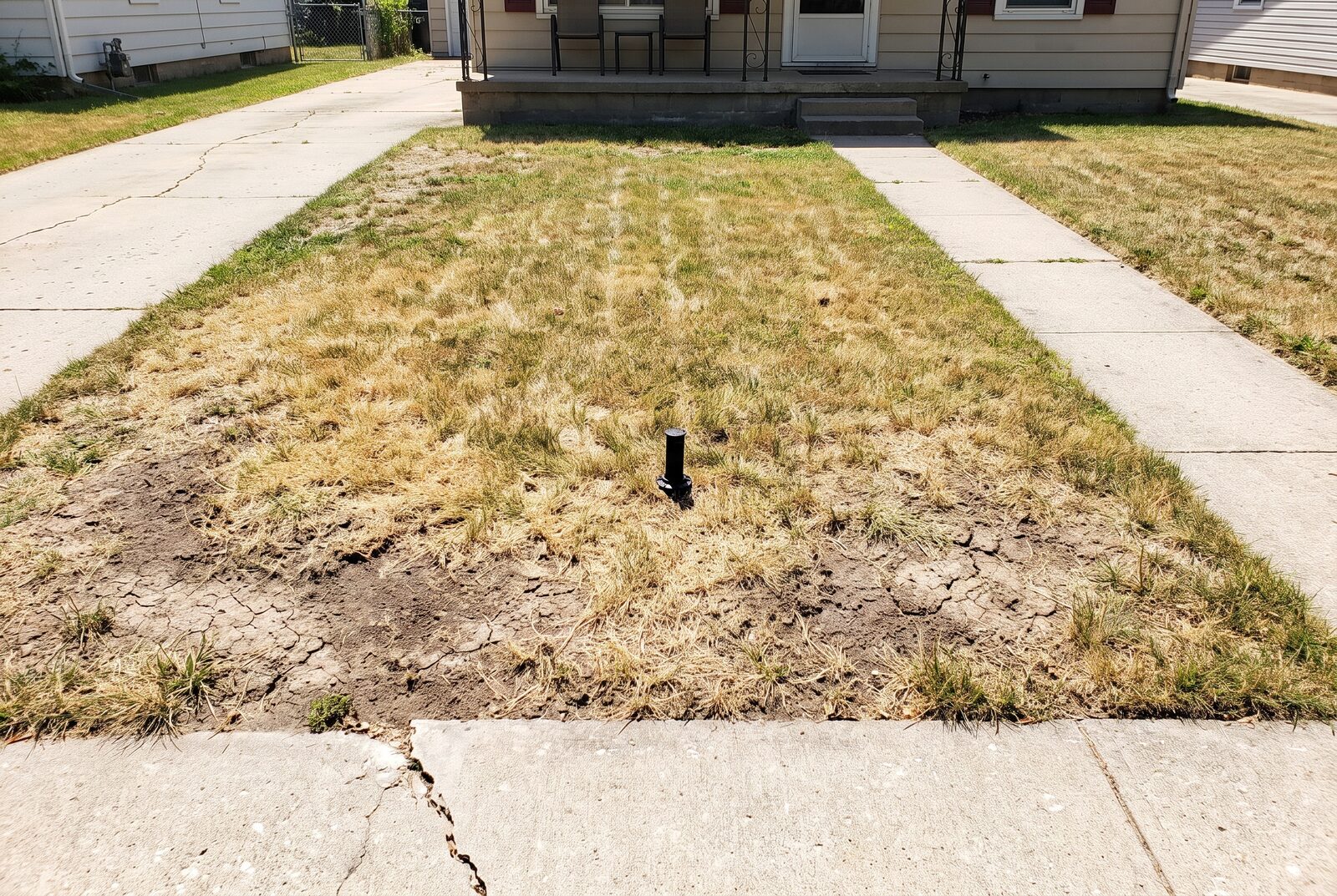 A photo of the front yard today: a thin, patchy, sun-burnt lawn running to the sidewalk