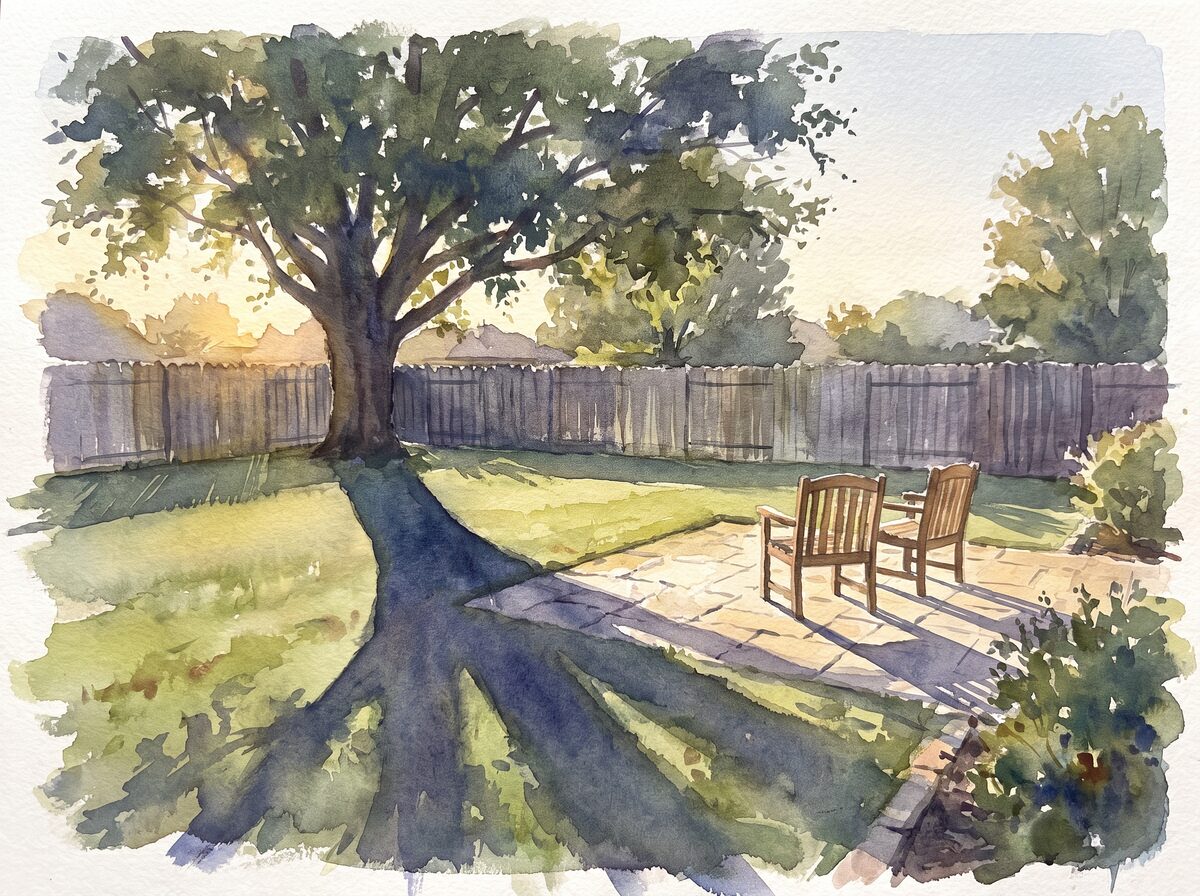 Where the shade lands growth timelapse