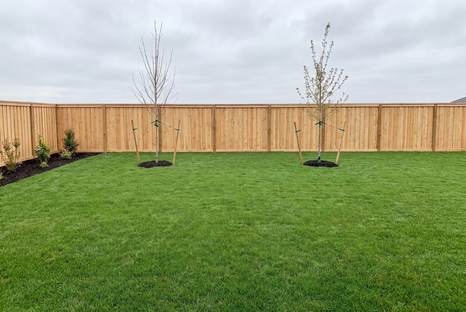 A photo of a new-build back yard today: thin sod, two staked whips, nothing grown